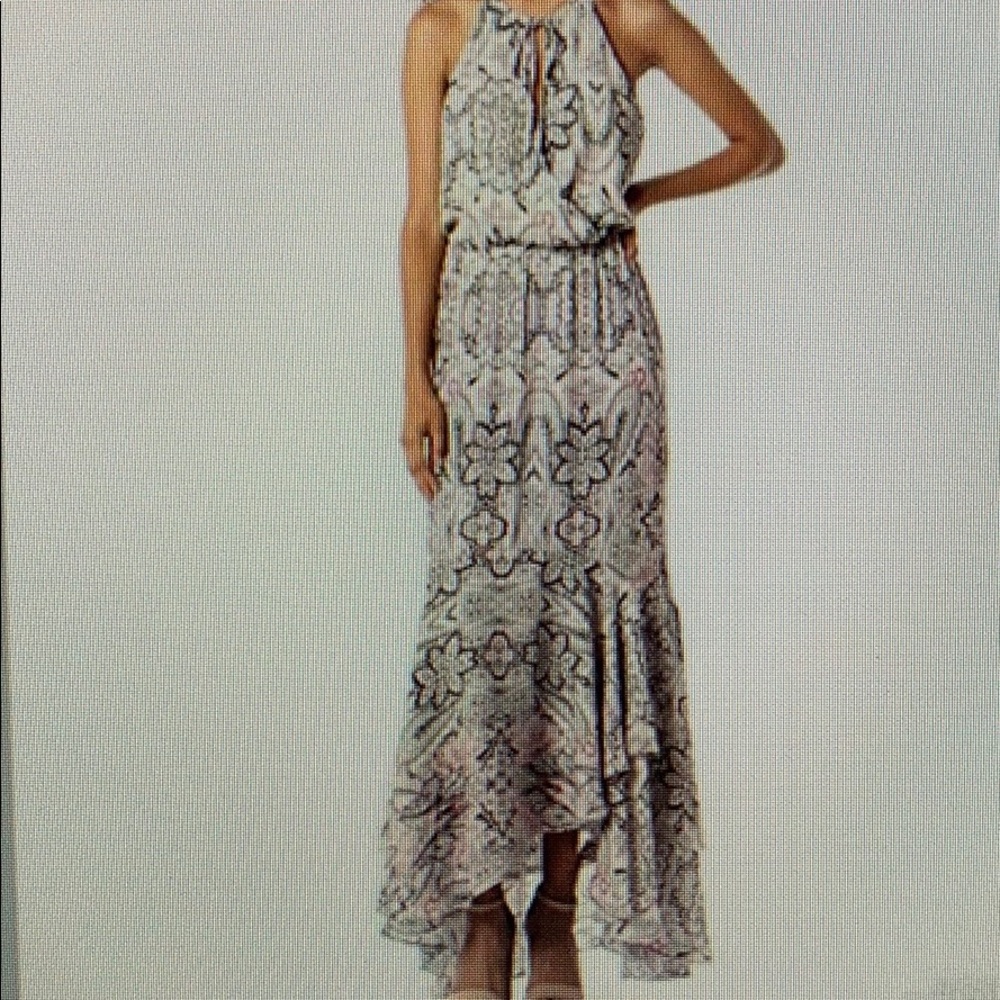Parker long mermaid fit dress NWT